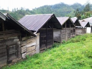 Keben di Nosar Lut Tawar. (Lintas Gayo | Kha A Zaghlul)