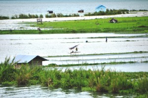 Akibat luapan air Danau Lut Tawar di Pedemun kecamatan Lut Tawar. (Lintas Gayo | Kha A Zaghlul)