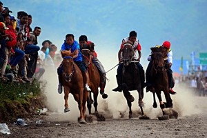 Sejumlah Kuda yang bertarung di Semifinal Pacuan Kuda HUT Kute Takengen.(Lintas Gayo | Munawardi)