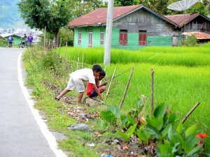 anak-anak dikampung Mendale Kecamatan Kebayakan memancing ikan di sawah