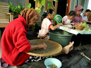 Satu keluarga sedang menyortir biji kopi hijau di Takengon. (Lintas Gayo | Muna)