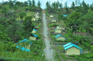 Kawasan Peternakan Ketapang Kecamatan Linge. (Lintas Gayo Doc)