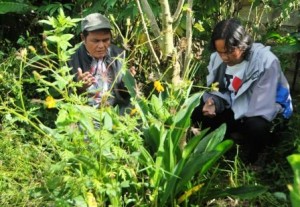 Kondisi Makam To;et Gol A Gong dan LK.Ara berziarah. (Lintas Gayo | Kha A Zaghlul)