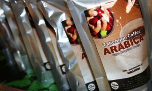 Kopi Arabica yang sudah diolah secara profesional (foto : AS)