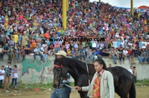  Seorang remaja putri sedang menggiring kuda bersama ayahnya di dalam arena pacuan (Foto direkam Kamis, (5/9/13) By Fazri)