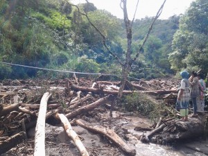 Bongkahan kayu dan Lumpur yang diakibat banjir bandeng (Foto:Lg)