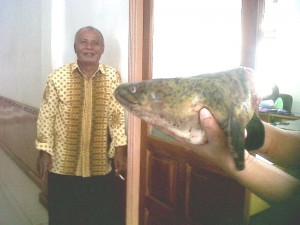 Keling, saat memperhatikan ikan denung hasil buruan anaknya. (LG/ Zan -KG)