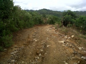 Akses Jalan Antara Kampung Rikit Musara dan Seni Antara (Foto: Mila/ Lintas Gayo)