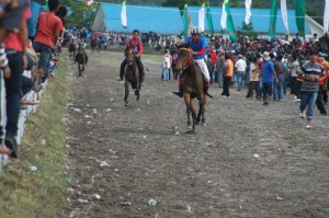 Tidak peduli dengan kuda yang sedang berlari, semua berusaha mendekat. (LG/Iqoni RS)