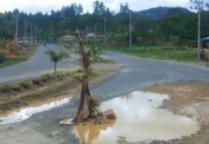 Pohon pisang yang ditanam warga di kawasan Empus Talu Bebesen. Foto: Mark Arigayo