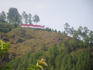 Bur Gayo