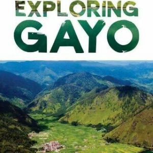 Exploring Gayo