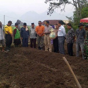 polisi berkebun