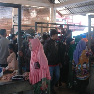 suasana megang di Paya Ilang