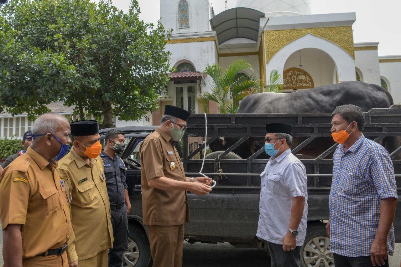 Plt. Gubernur Aceh, Nova Iriansyah, menyerahkan Hewan Qurban Bantuan Presiden Republik Indonesia kepada Wakil Wali Kota Subulussalam, Salmaza, MAP di Pendopo Gubernur Aceh, Banda Aceh,27/7/2020