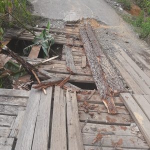 Tampak Kondisi Jembatan Despot Linge, Kecamatan Linge, Rusak Berat. Kamis, 16/7/2020. Foto Irwan Yoga/Lintasgayo.com