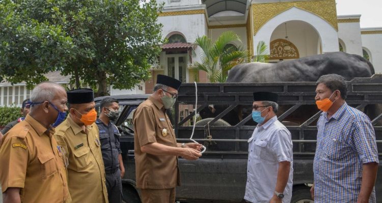 Plt. Gubernur Aceh, Nova Iriansyah, menyerahkan Hewan Qurban Bantuan Presiden Republik Indonesia kepada Wakil Wali Kota Subulussalam, Salmaza, MAP di Pendopo Gubernur Aceh, Banda Aceh,27/7/2020