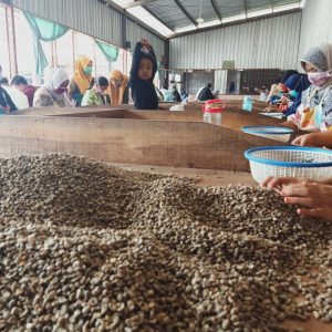 suasana peng dp an kopi di Oro Kopi