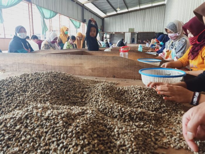 suasana peng dp an kopi di Oro Kopi