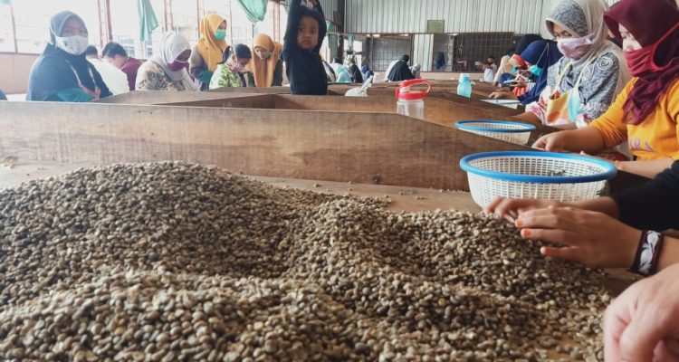 suasana peng dp an kopi di Oro Kopi