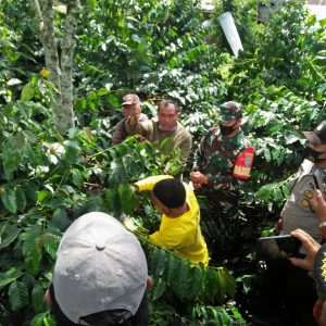 Kepala Balai Pertanian Ikhsan, SP bersama Pemerintahan Kampung Godang menggelar pelatihan teknik untuk pemangkasan kopi di Kampung Godang, Kecamatan Bukit, Bener Meriah. Rabu 11/11/2020.