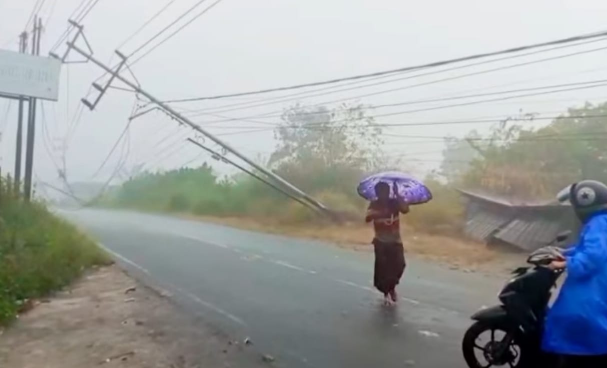 Tiang listrik tumbang di sepanjang jalan kute lintang - kute kering. Foto amatir Warga